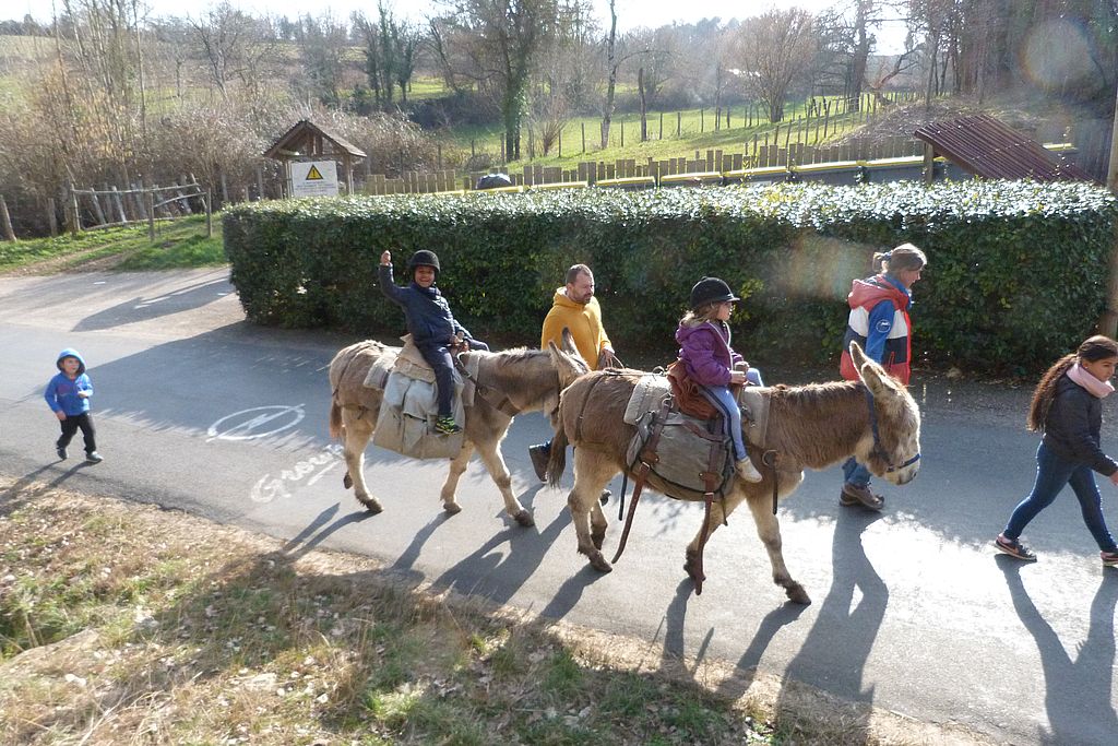 La Ferme Au Pas de l'Ane — photo 3