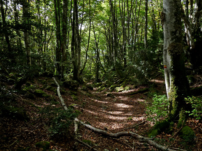 GRP Tour de la Vallée d'Ossau - Etape Louvie-Juzon - Granges du Dès