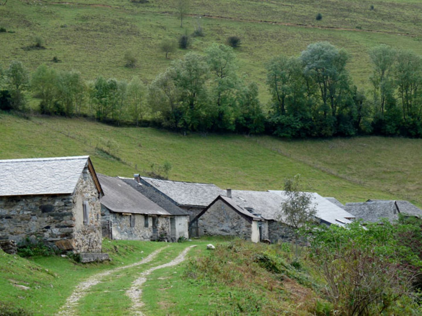 GRP® Tour de la Vallée d'Ossau - Etape Louvie-Juzon - Granges du Dès
