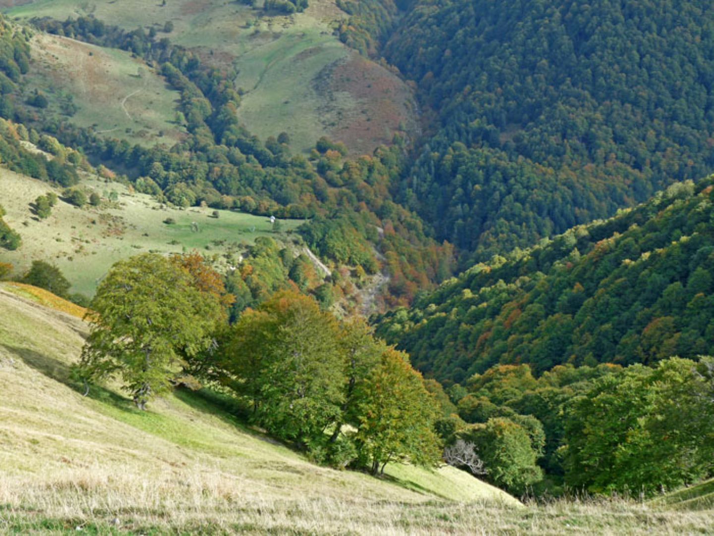 GRP® Tour de la Vallée d'Ossau - Etape Granges du Dès - Col d'Aubisque - photo 4