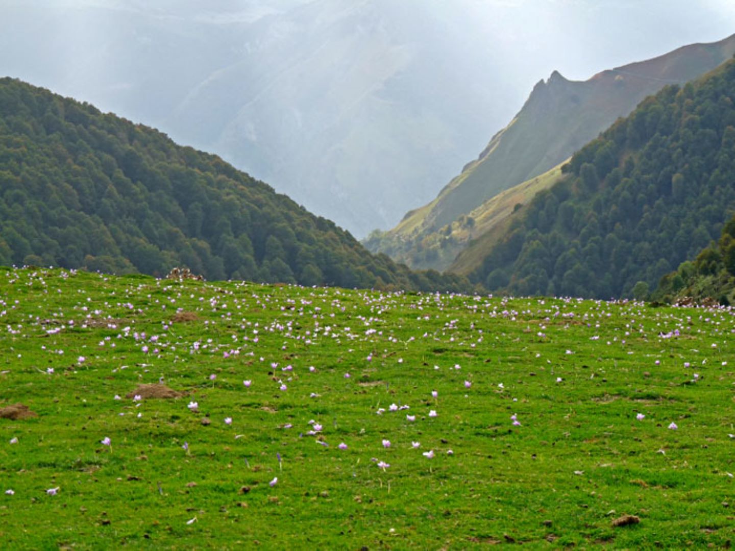 GRP® Tour de la Vallée d'Ossau - Etape Granges du Dès - Col d'Aubisque - photo 2