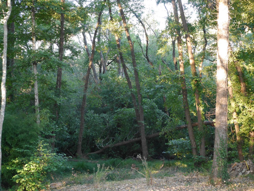 L'Antre-Nous, Sainte-Foy - photo 5