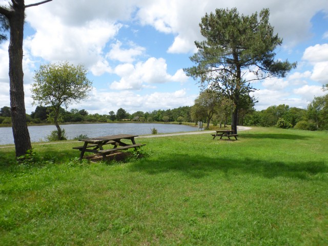 Aire de pique-nique à l'Hôpiteau (Boussais) - photo 2