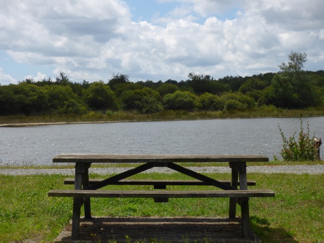 Aire de pique-nique à l'Hôpiteau (Boussais)