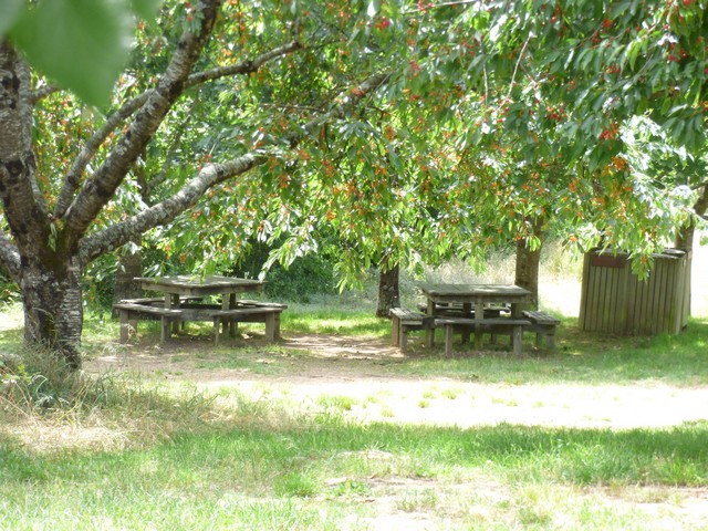 Aire de pique-nique au Lac du Cébron
