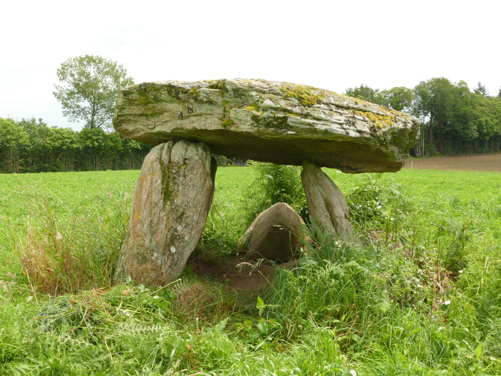Harmonie avec la nature et l'habitat : découverte de la géobiologie, La Roche-l'Abeille - photo 2