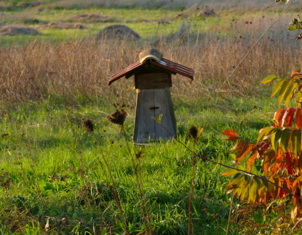 Petites Ruches