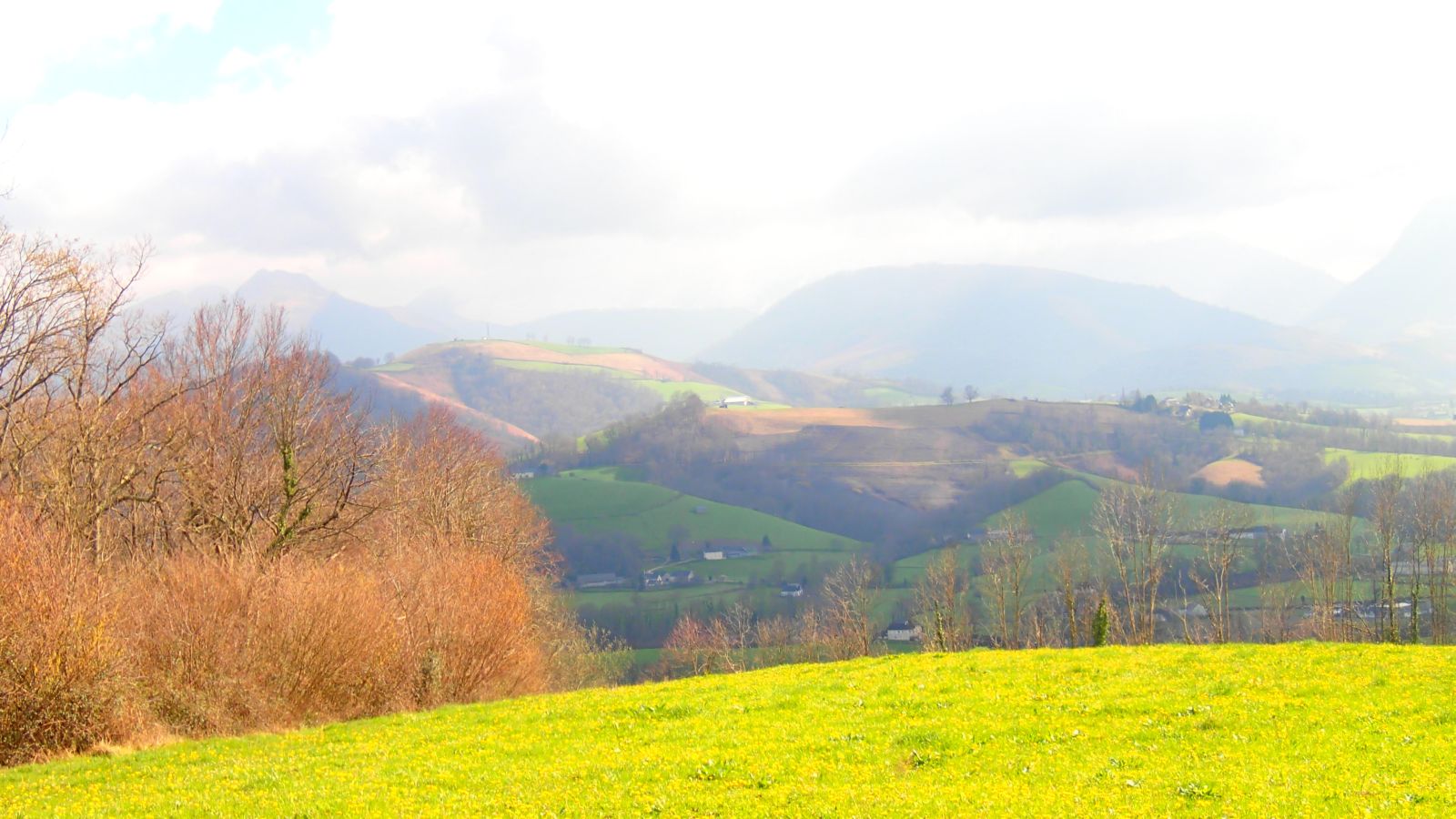 Le petit coin de paradis - photo 4