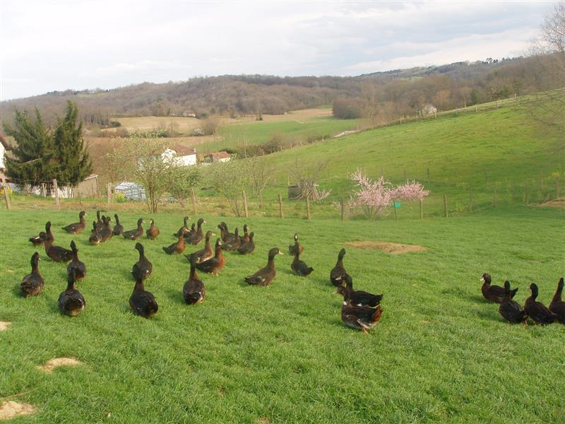 Ferme La Motte 