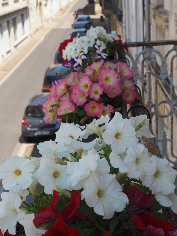 Le Cerisier, Sainte-Foy-la-Grande - photo 2