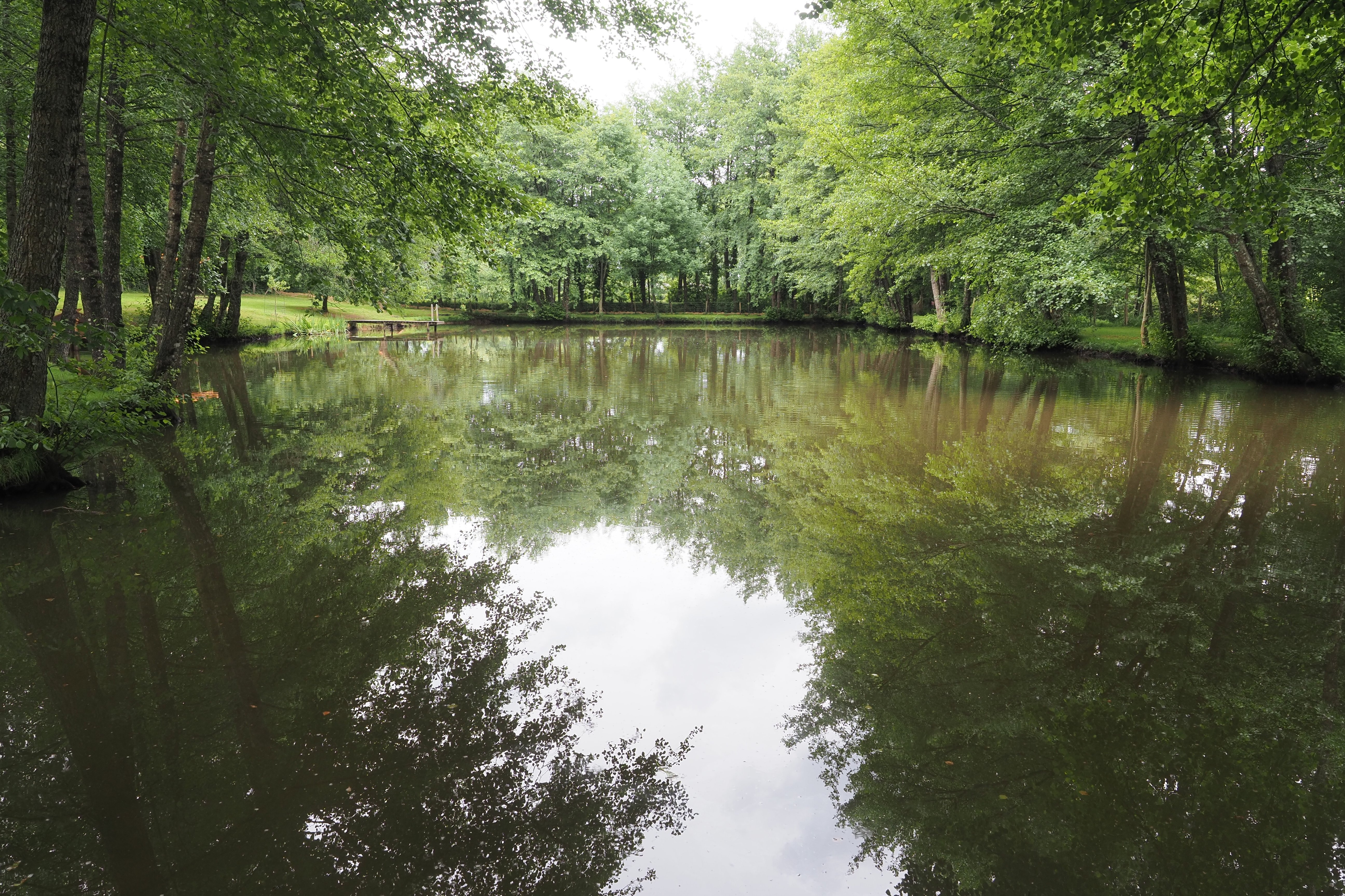 La Berlière - Gîte nature, Saint-Pardoux-Soutiers - photo 24