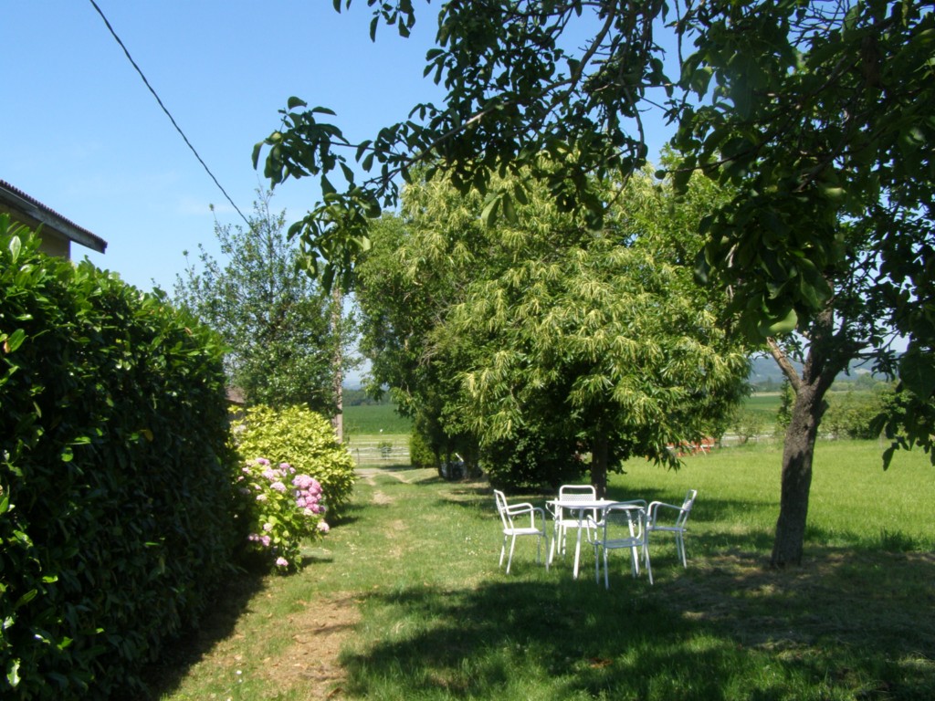Gîtes des Hortensias, Galapian - photo 8