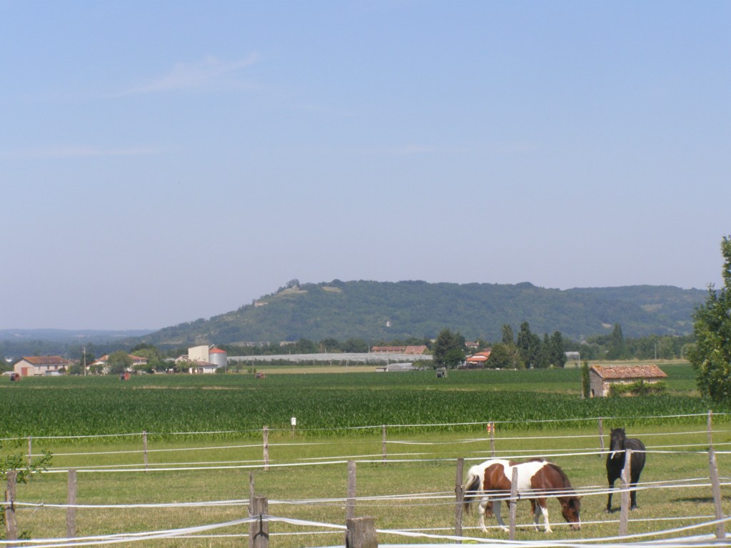 Gîtes des Hortensias
