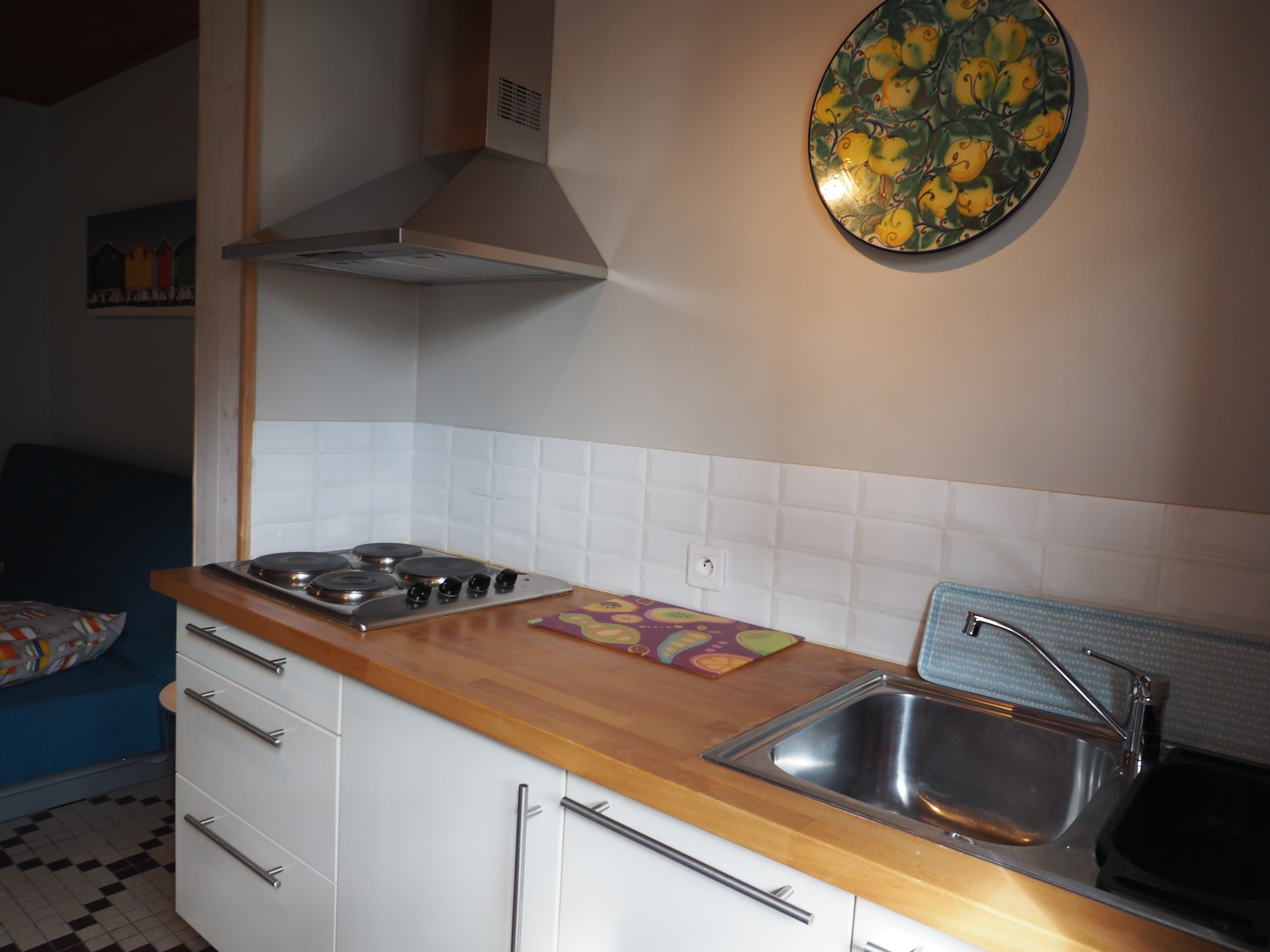 Vitry Lemoine Colette - Lou - photo 4