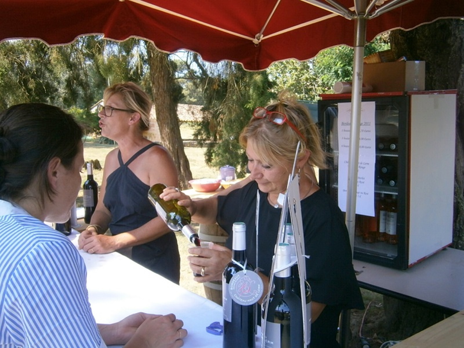 Château Haut-de-Lerm - photo 4