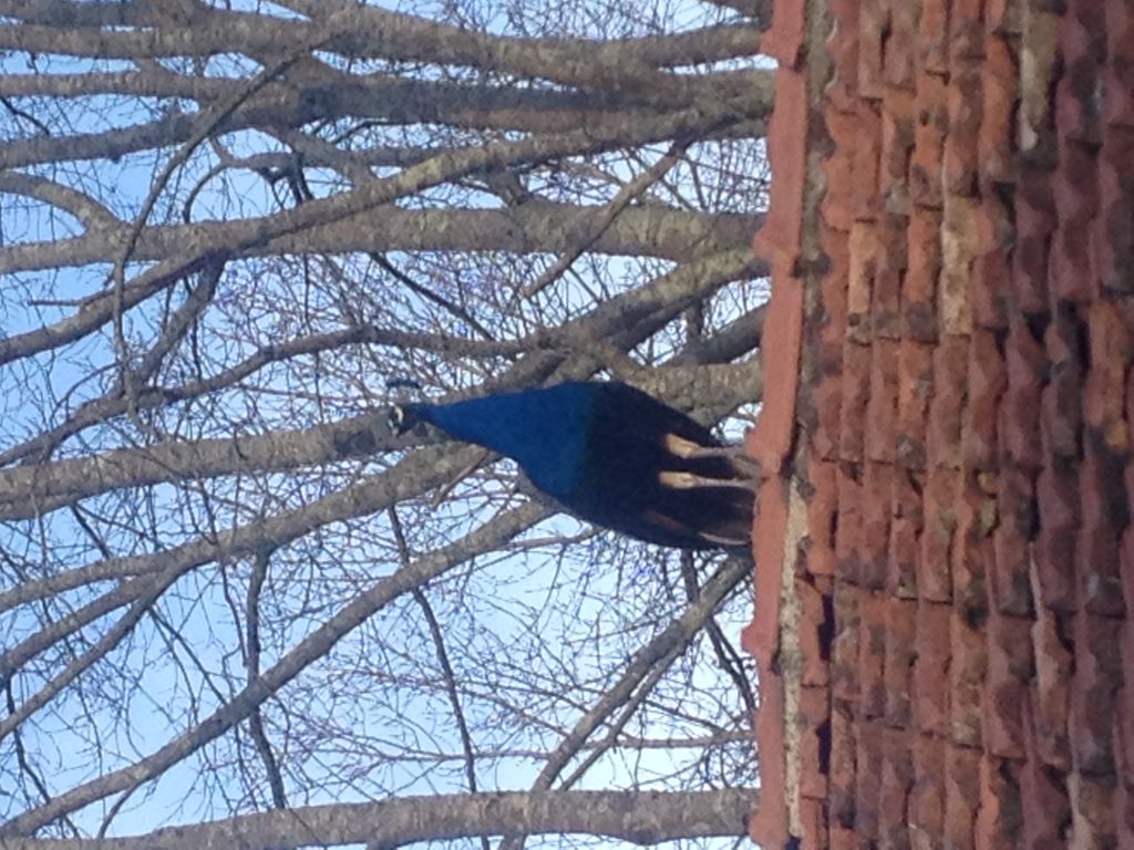 Deldadetcha Gîte, Saubrigues - photo 6