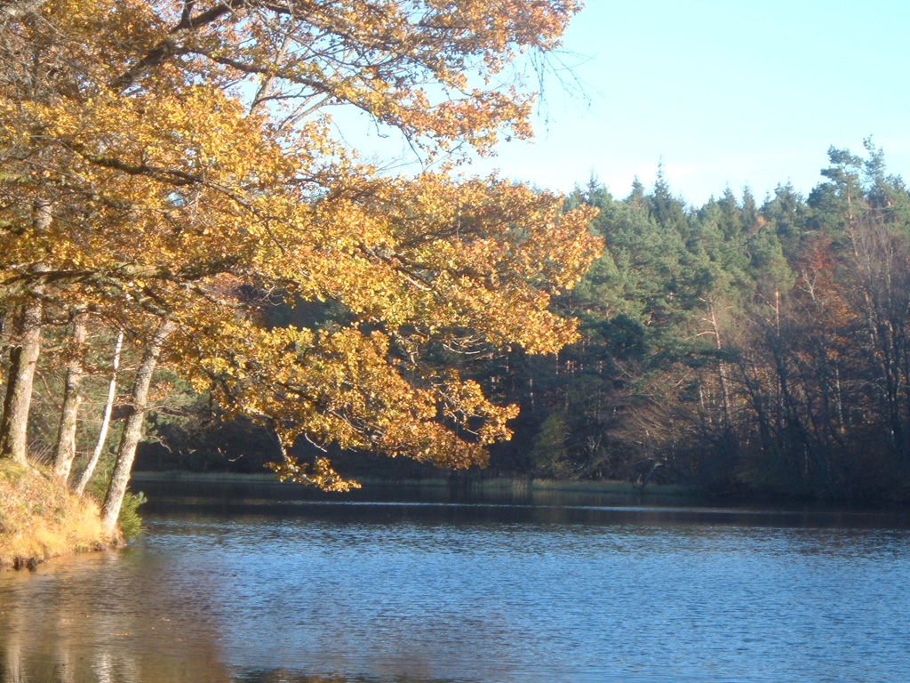 Parcours permanent d'orientation Bois de Chaleix