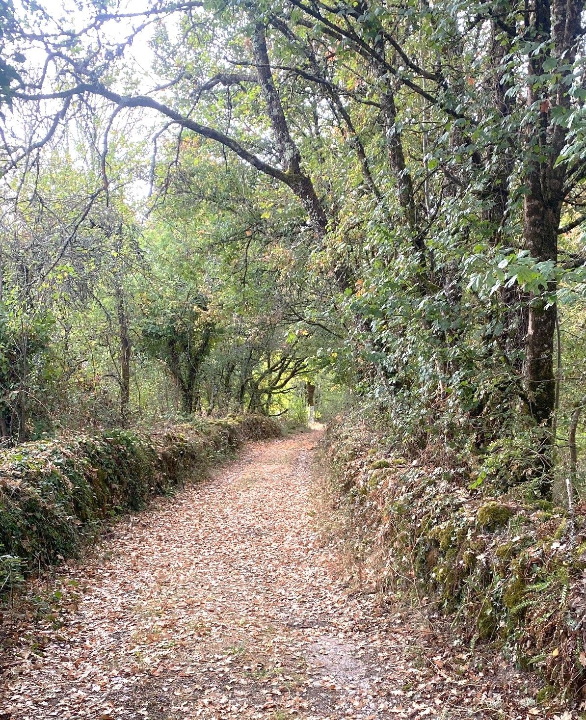 Boucle de la Verrerie - photo 5