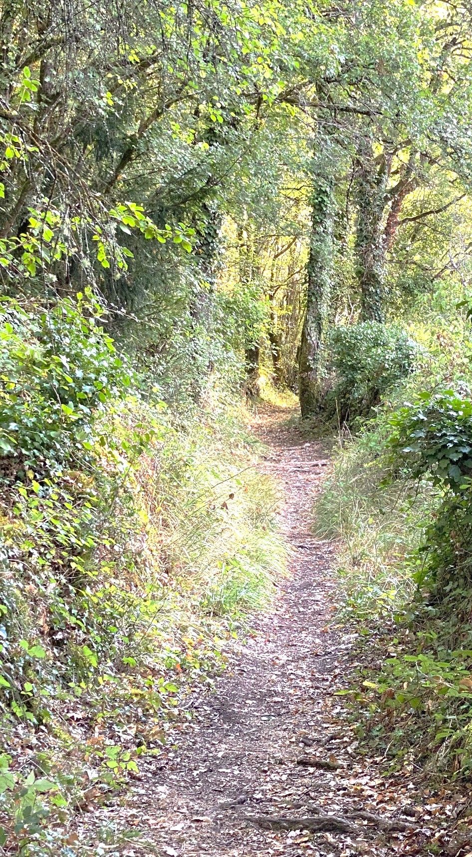 Boucle de Paussac Saint-Vivien - Le Boulou - photo 4