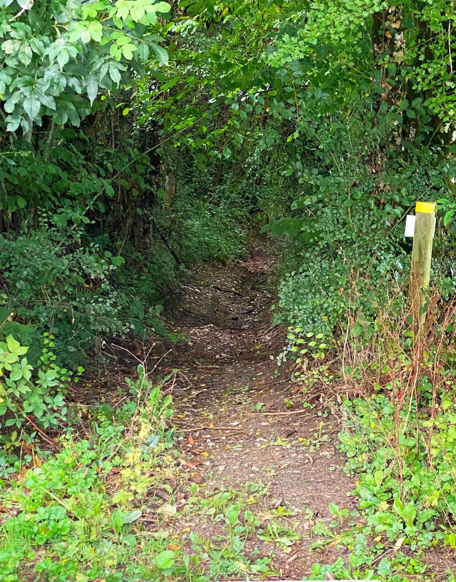 Boucle du Beau Moulin