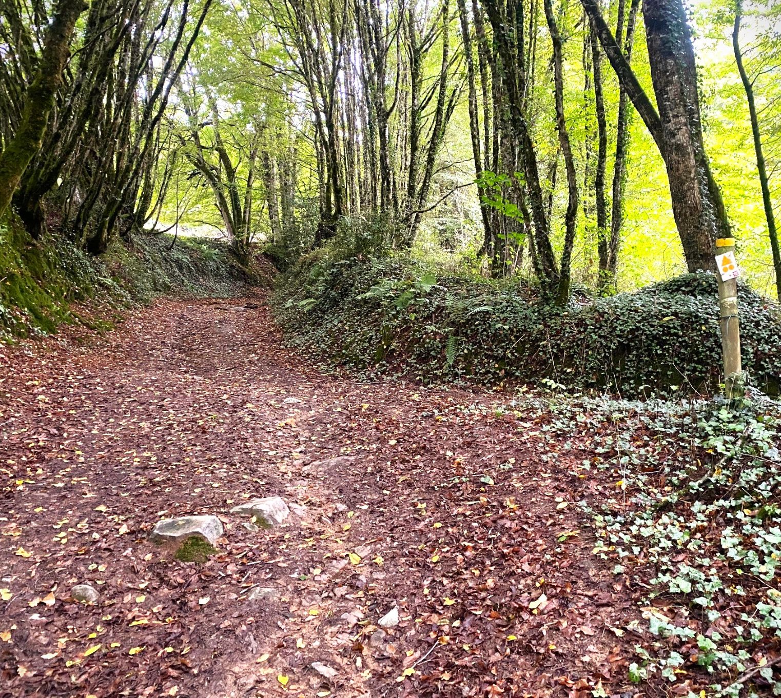 Boucle du Beau Moulin, Payzac - photo 4