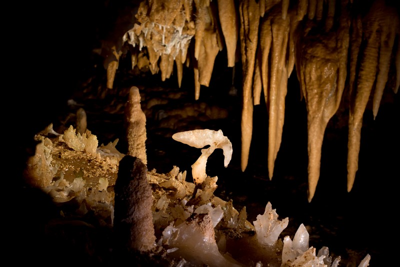 Journées européennes du patrimoine à la Grotte du Grand Roc