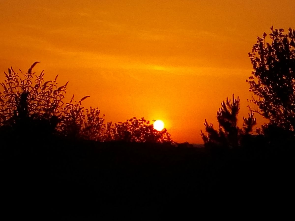 Les Jardins ethnobotaniques de Haute Terre, Saint-André-d'Allas - photo 6