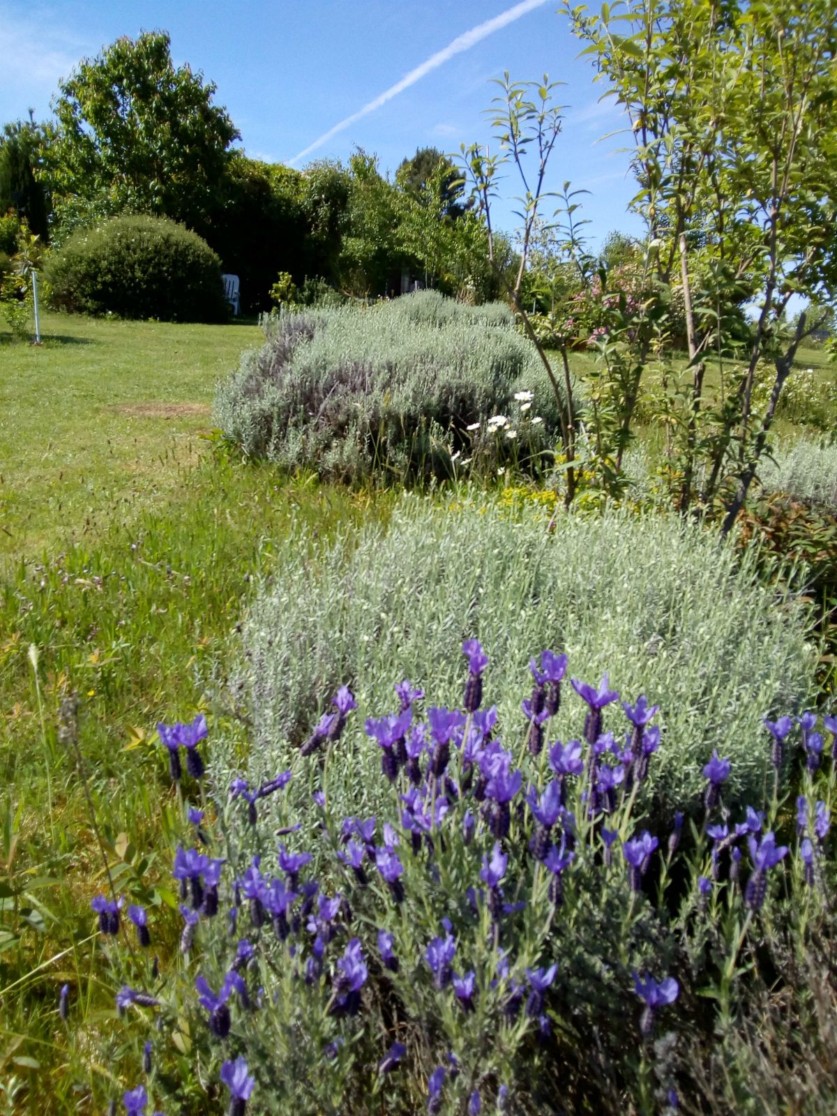 Les Jardins ethnobotaniques de Haute Terre, Saint-André-d'Allas