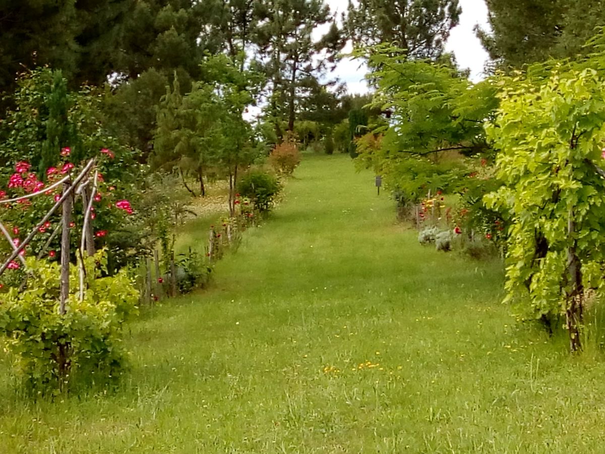 Les Jardins ethnobotaniques de Haute Terre, Saint-André-d'Allas - photo 5