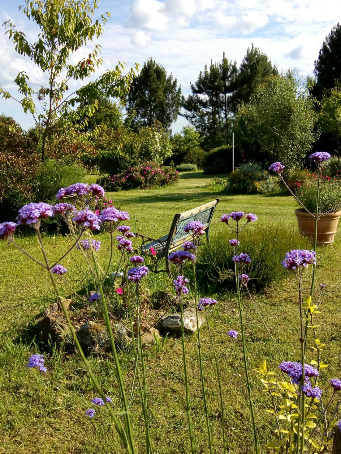 Les Jardins ethnobotaniques de Haute Terre, Saint-André-d'Allas - photo 12
