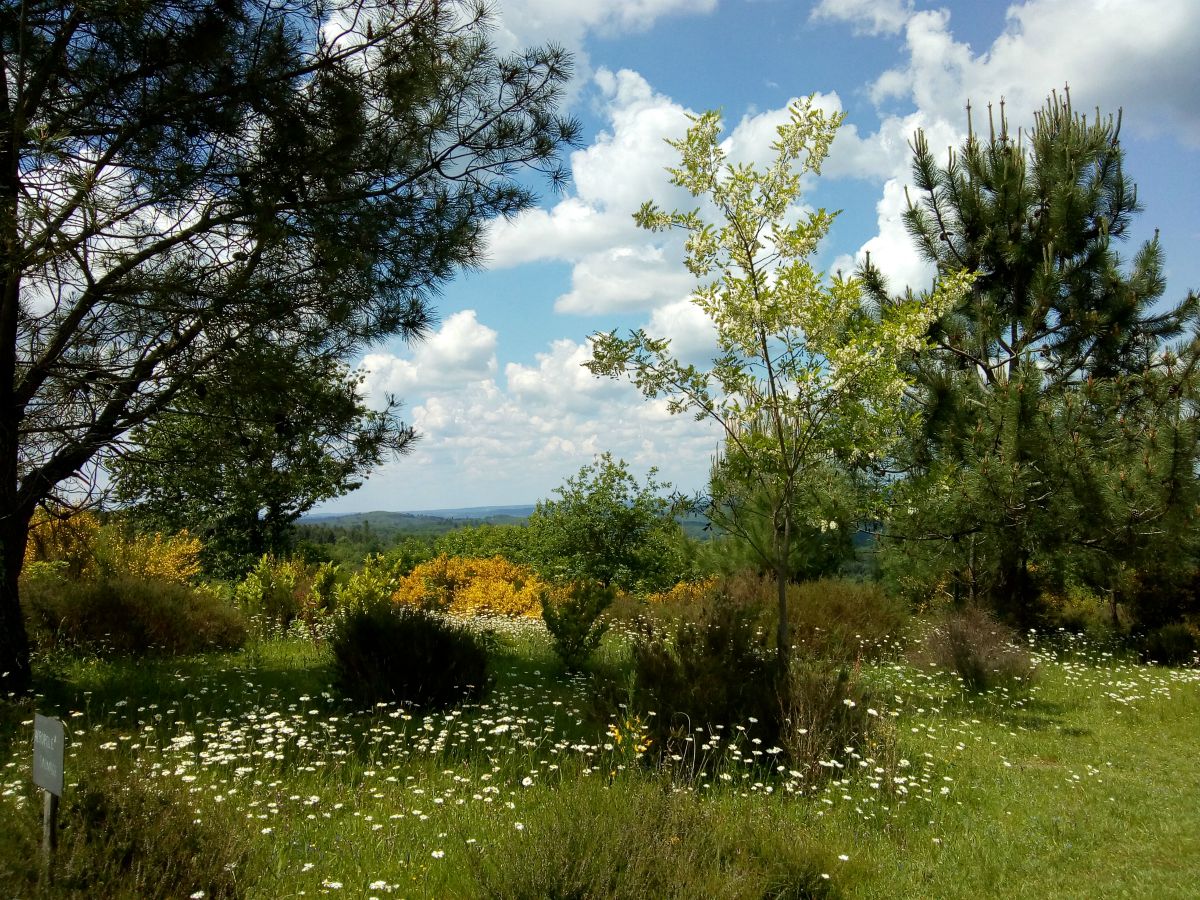 Les Jardins ethnobotaniques de Haute Terre, Saint-André-d'Allas - photo 11