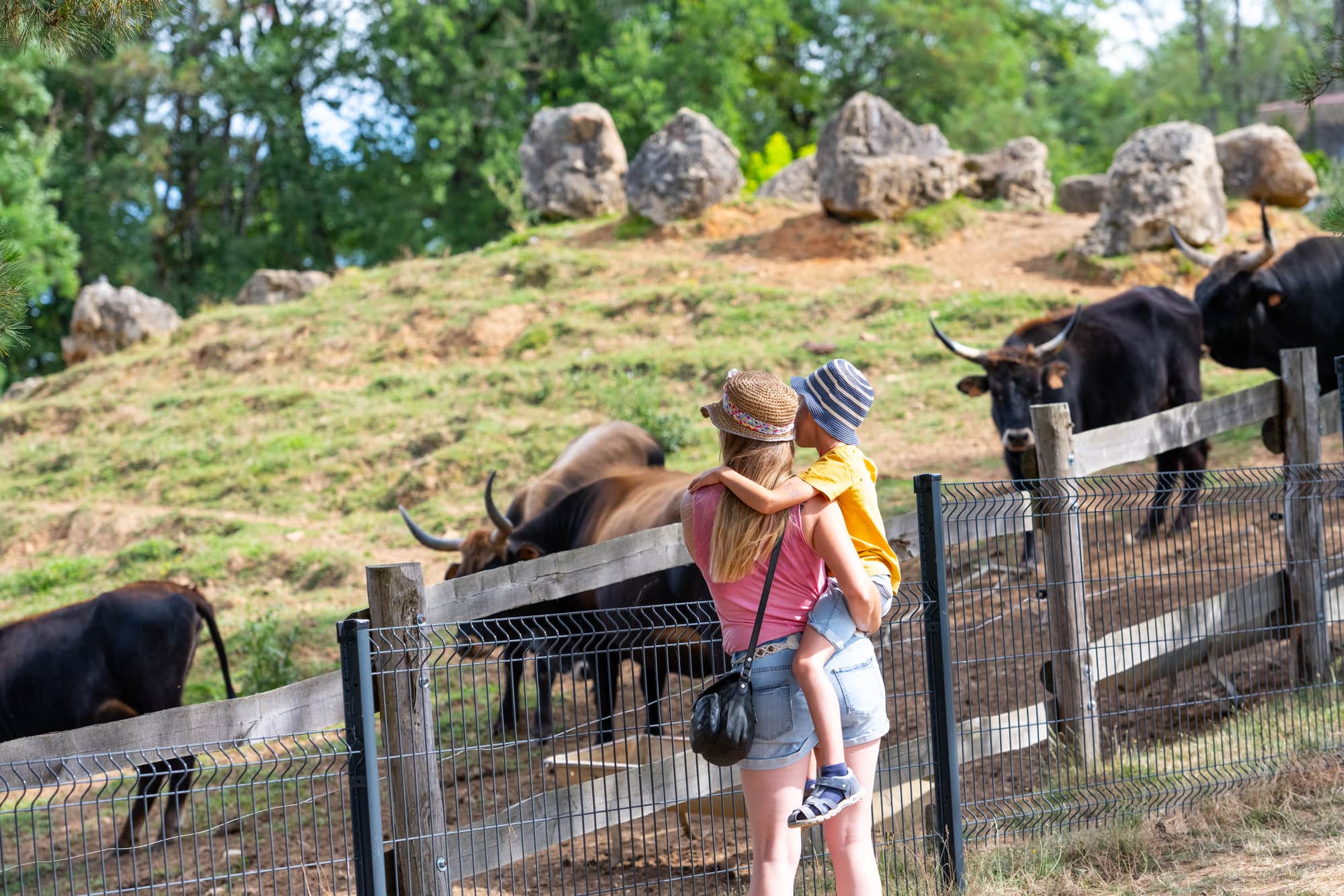 Parc du Thot, Thonac