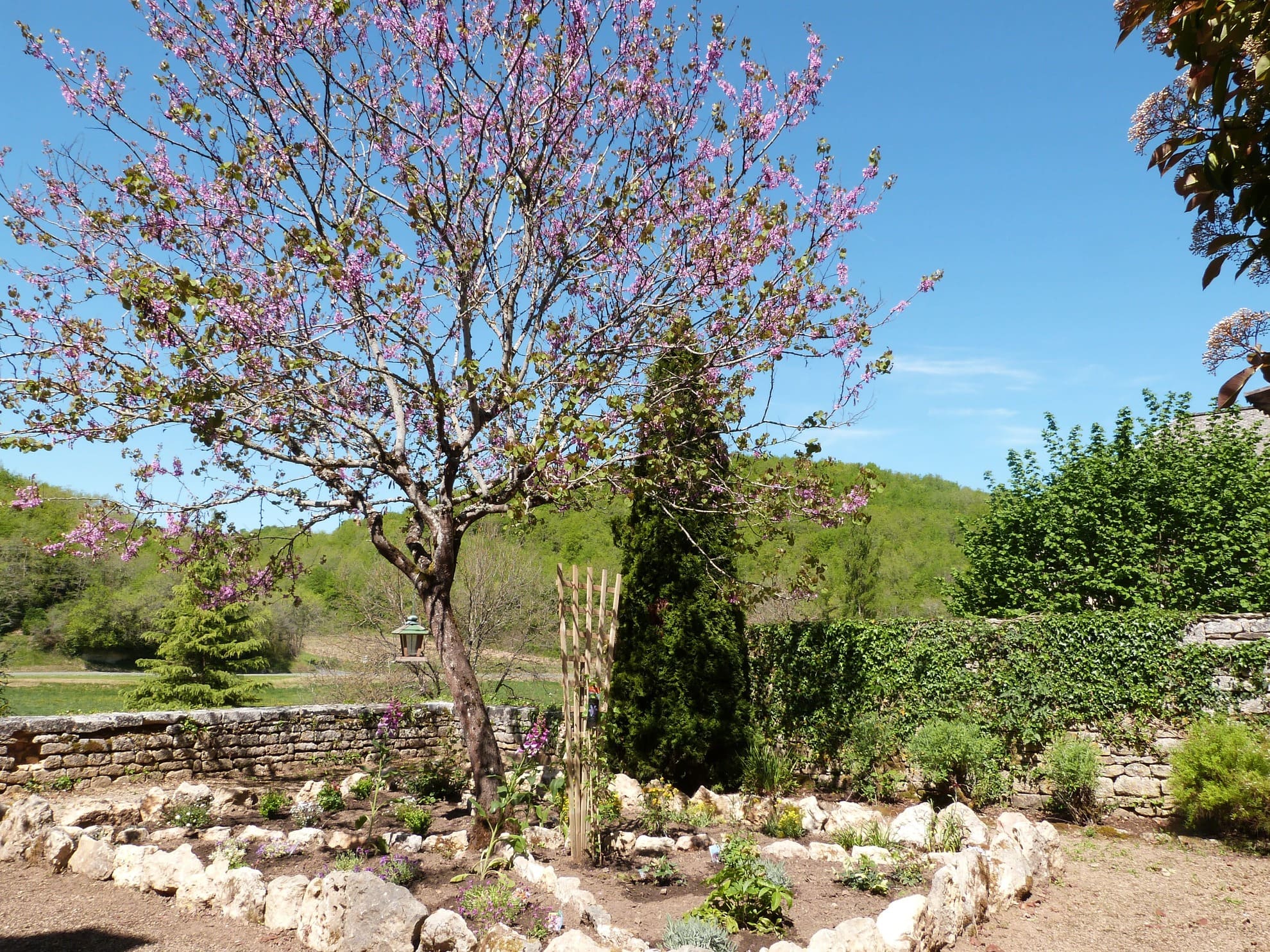 Boucle Bois et Prés n° 24 / Coly Saint-Amand