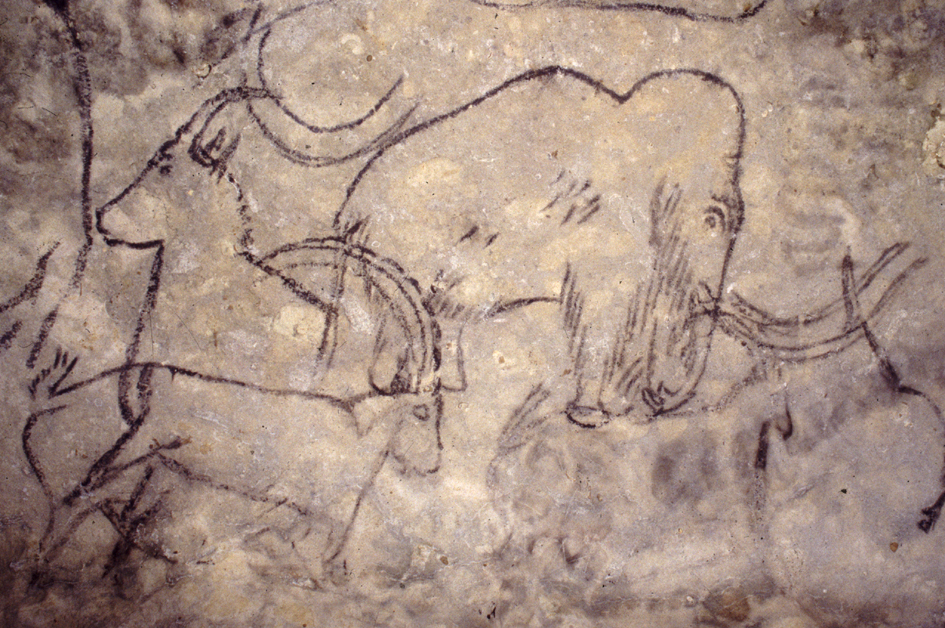 Journées européennes du patrimoine à la Grotte de Rouffignac