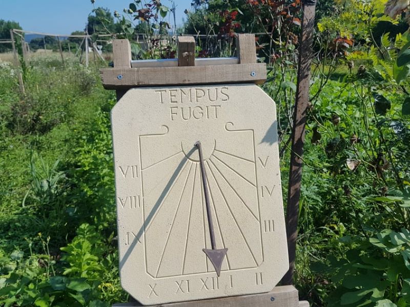 Le jardin insolite de Papy Paulo, Le Temple-sur-Lot - photo 6