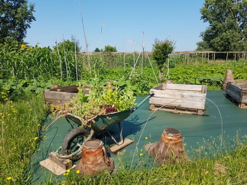 Le jardin insolite de Papy Paulo, Le Temple-sur-Lot - photo 10