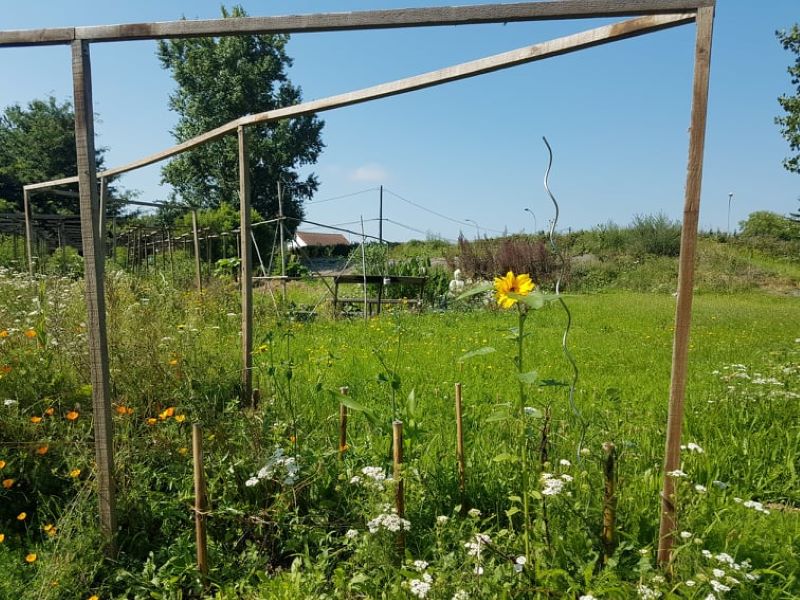 Le jardin insolite de Papy Paulo, Le Temple-sur-Lot