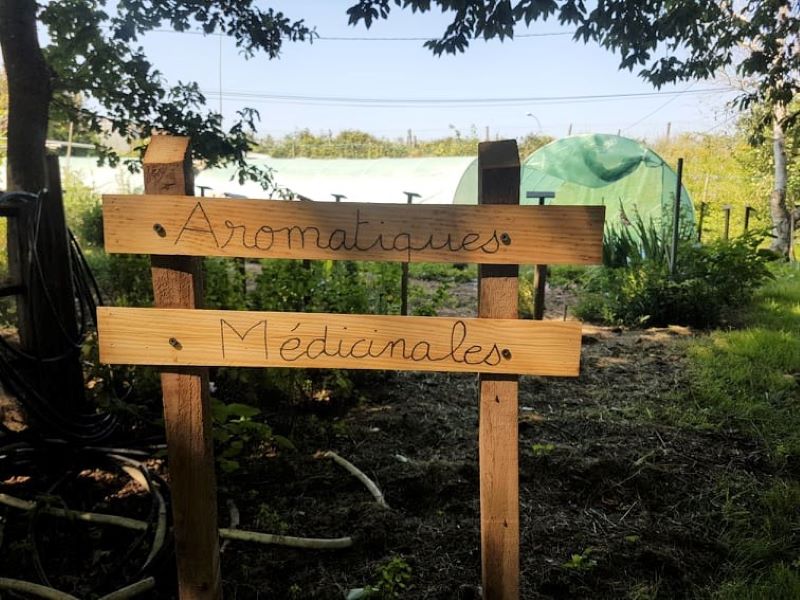 Le jardin insolite de Papy Paulo, Le Temple-sur-Lot - photo 4