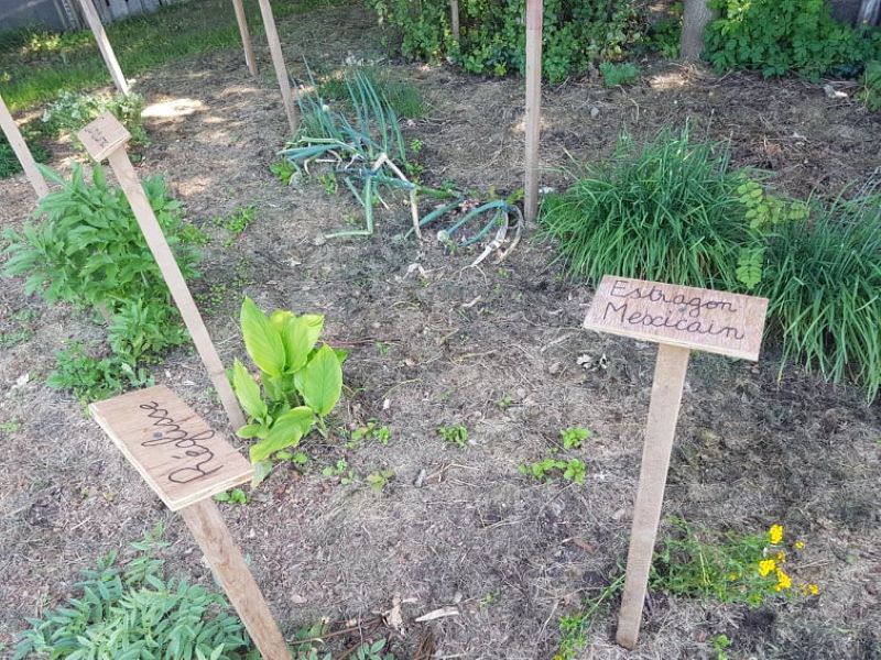 Le jardin insolite de Papy Paulo, Le Temple-sur-Lot - photo 5