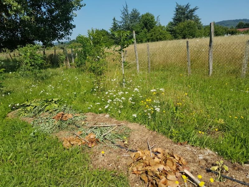 Le jardin insolite de Papy Paulo, Le Temple-sur-Lot - photo 9