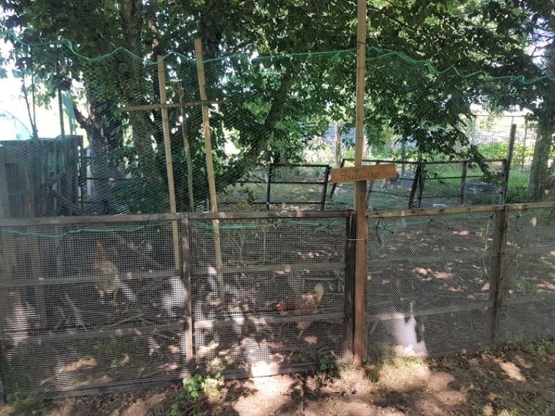 Le jardin insolite de Papy Paulo, Le Temple-sur-Lot - photo 11