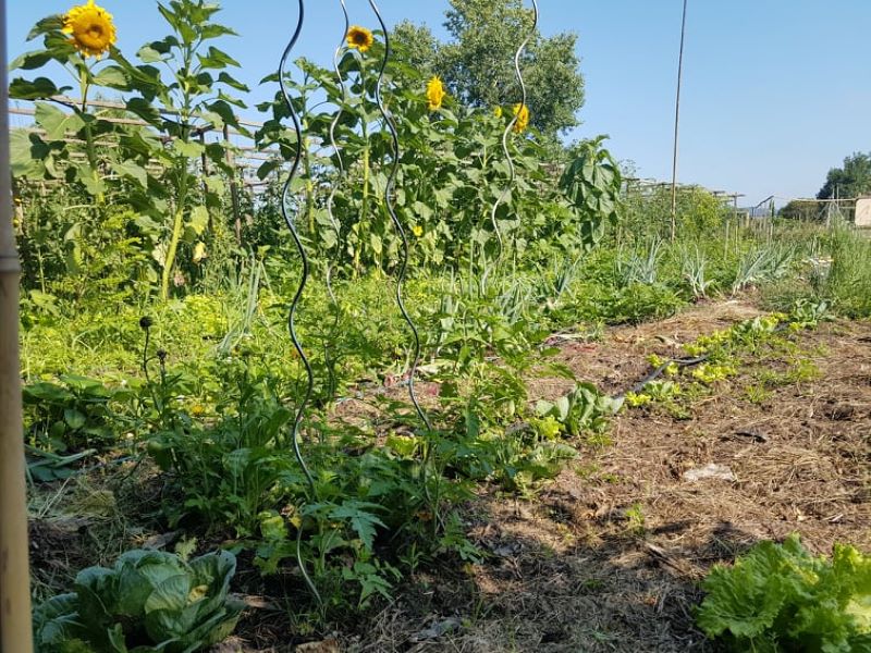 Le jardin insolite de Papy Paulo, Le Temple-sur-Lot - photo 2