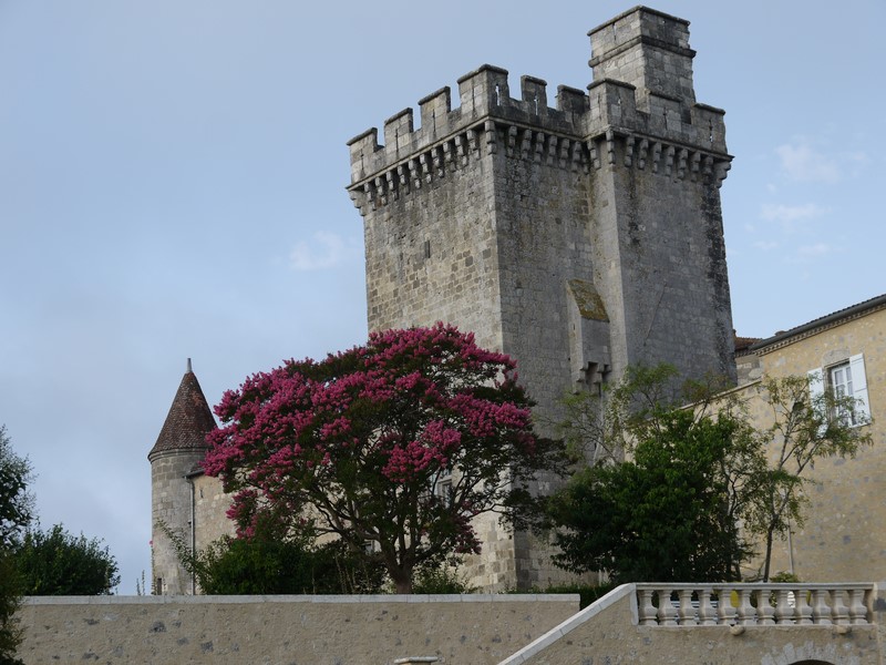 Château de Xaintrailles, Xaintrailles - photo 5
