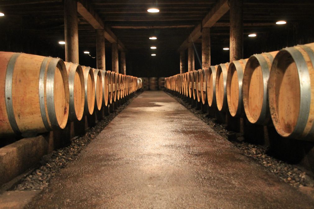 Château Champarel - photo 2