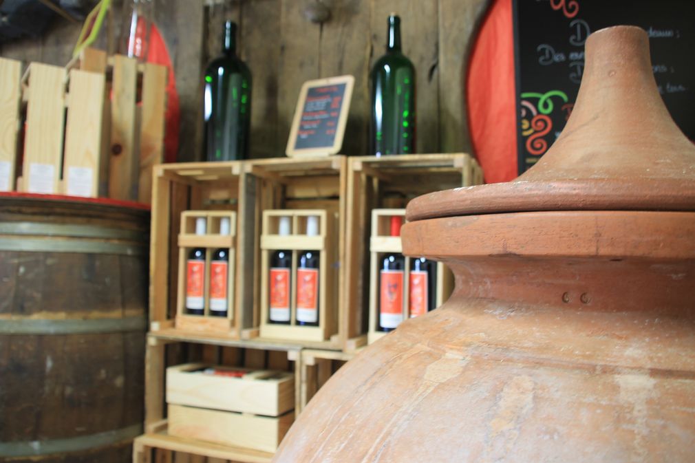 Domaine Le Martinat - photo 4