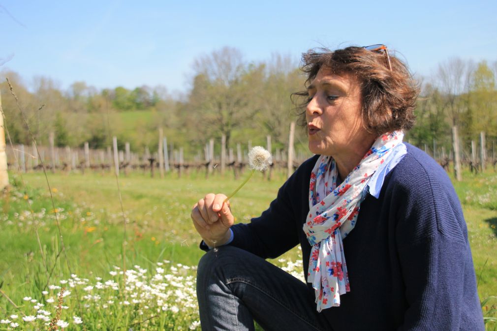 Domaine Le Martinat - photo 5