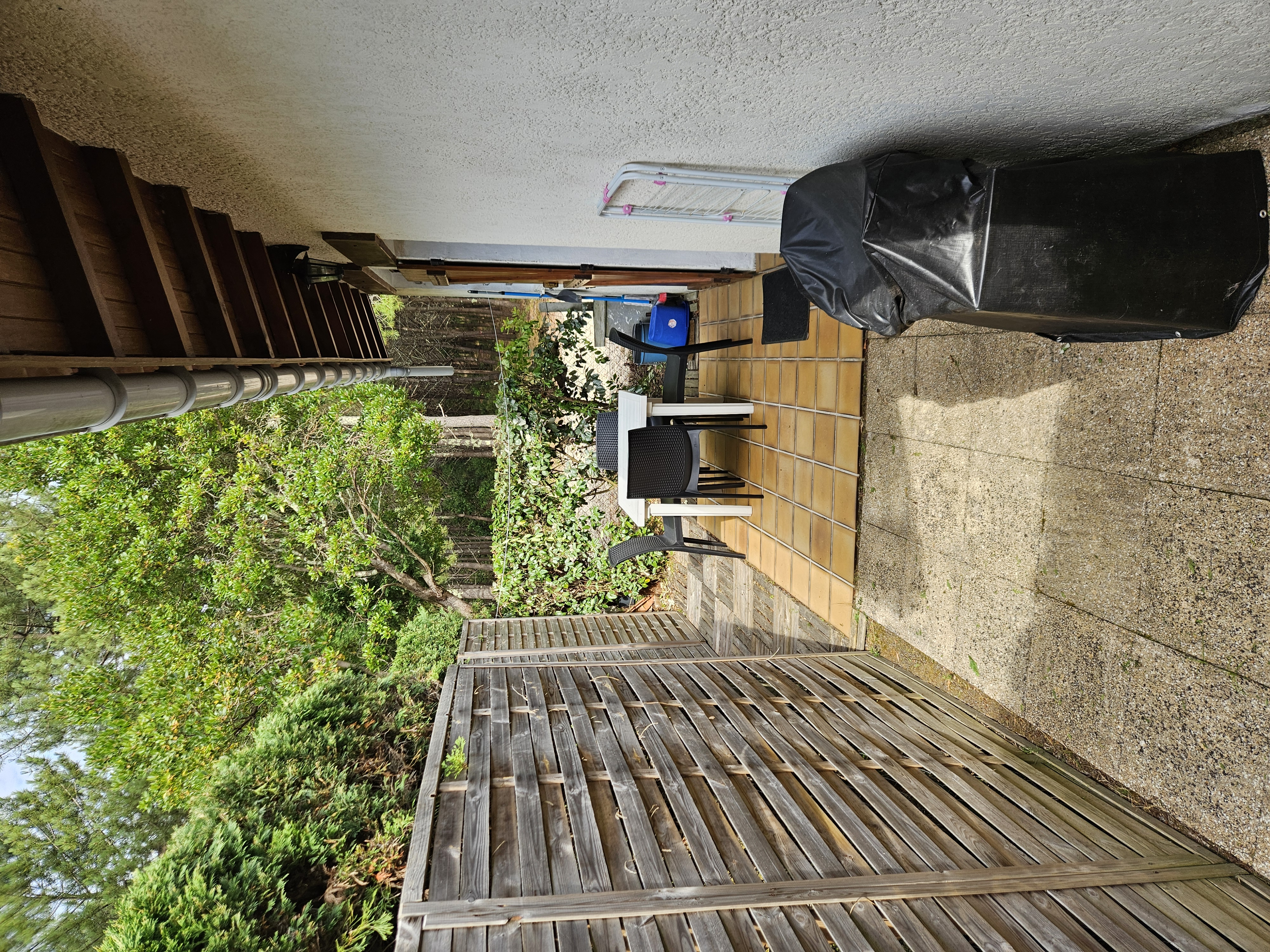 Studio avec vue sur la forêt — photo 3