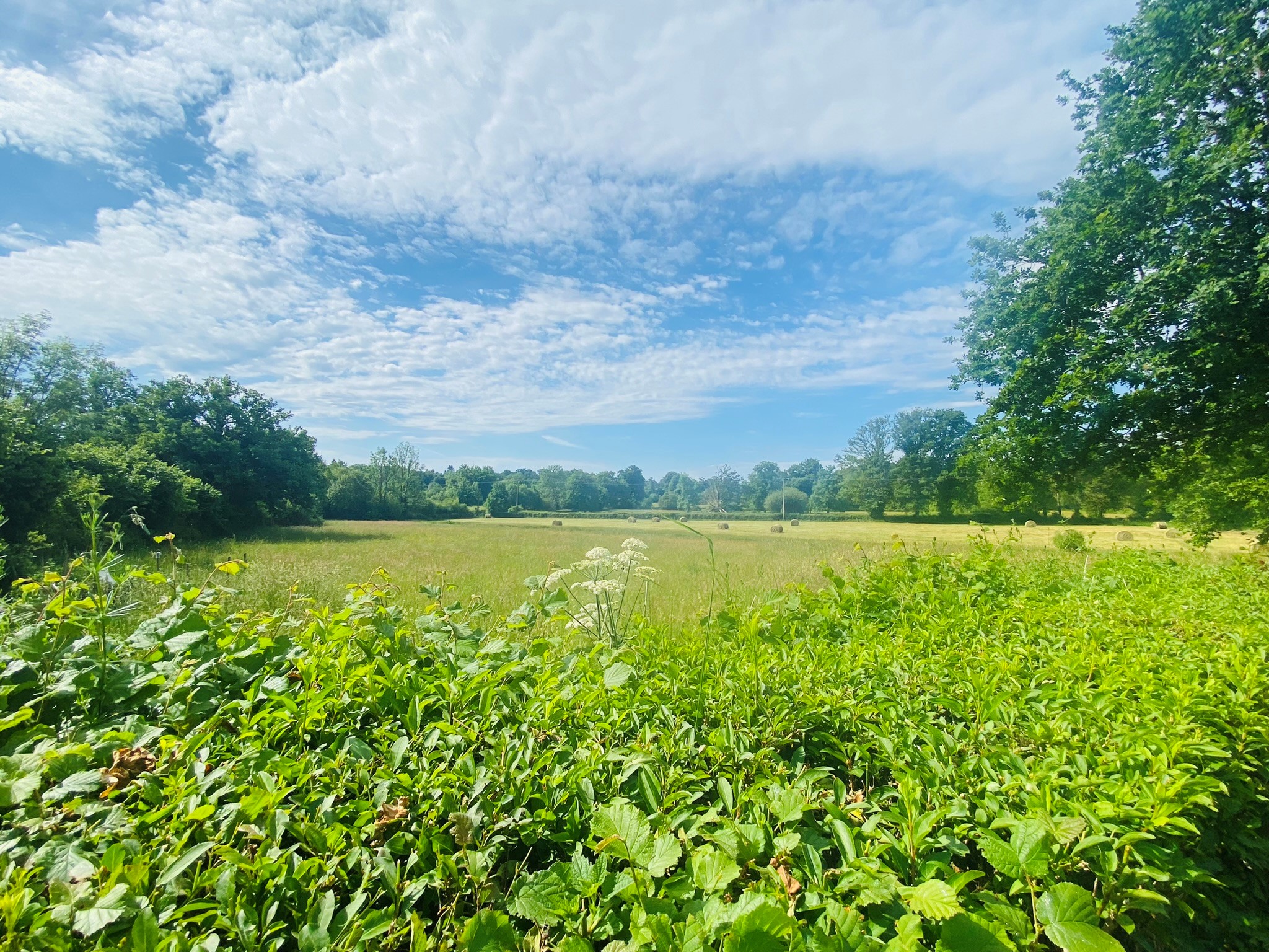 Gîte La Vie Verte, Saint-Domet - photo 6