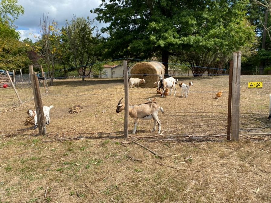 Par l'étang qui court, Eyraud-Crempse-Maurens - photo 3