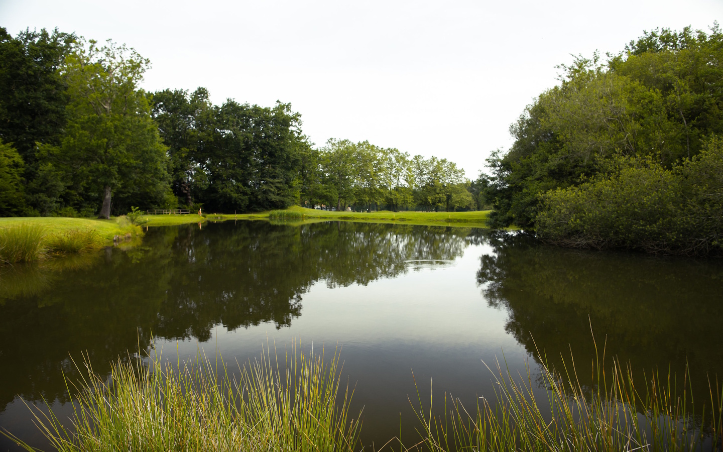 Makila Golf Club — photo 3